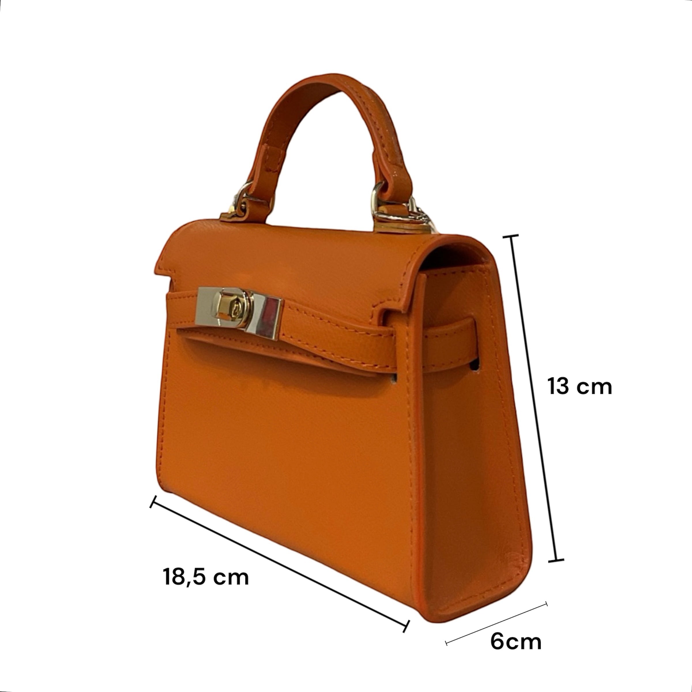 SAC MAIN CUIR VACHETTE MINI STELLA